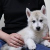 Thumbnail of post image 029